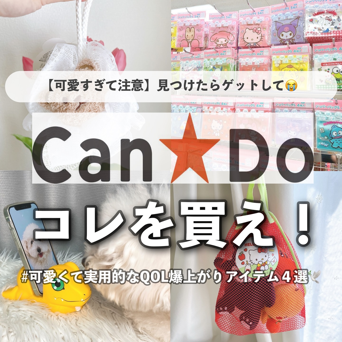 バスリリーツートン/キャンドゥ/バスグッズを使ったクチコミ（1枚目）