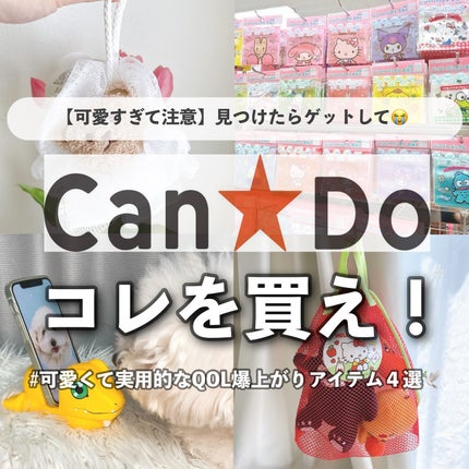 バスリリーツートン/キャンドゥ/バスグッズを使ったクチコミ(1枚目)