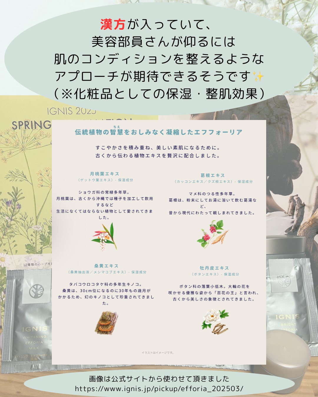 ホワイトニング エフフォーリア クリーム/IGNIS/フェイスクリームを使ったクチコミ（2枚目）