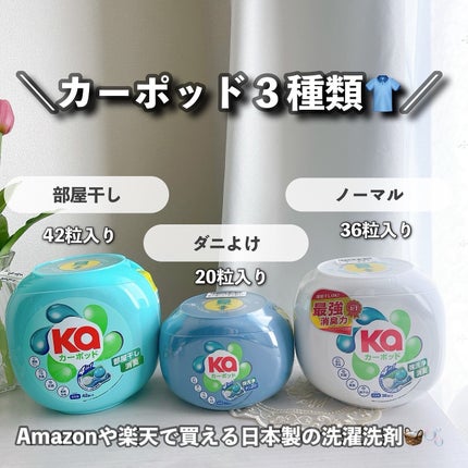 カーポッド/王子製薬/洗濯洗剤を使ったクチコミ(3枚目)