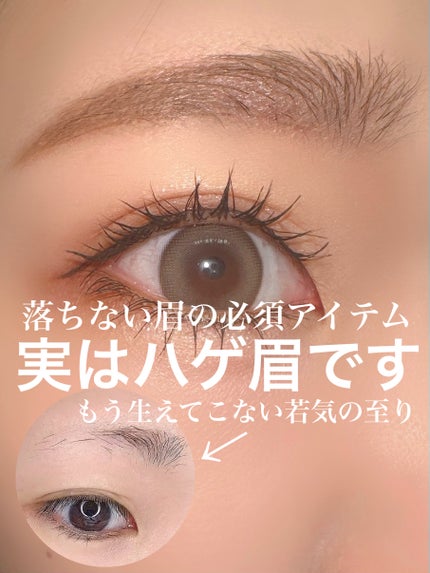 シューティングリキッドアイブロウ/サナ ニューボーン/リキッドアイブロウを使ったクチコミ(1枚目)