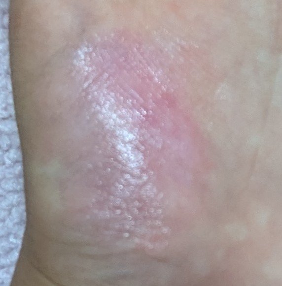 口紅がいらない薬用モイストリップ/メンターム/リップクリームを使ったクチコミ（1枚目）