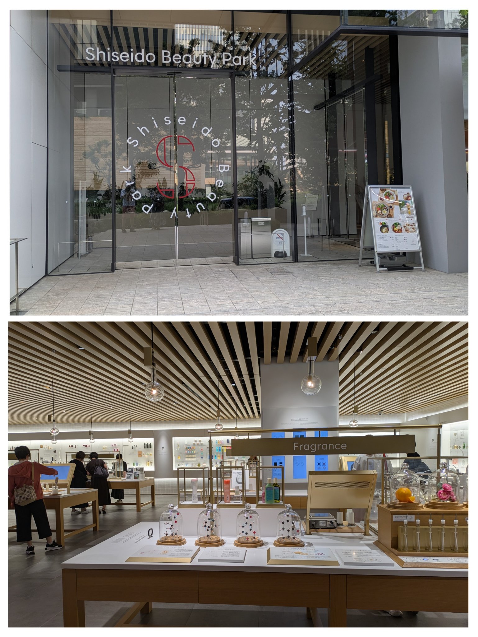 資生堂フィボナ01－058/SHISEIDO/その他洗顔料を使ったクチコミ（3枚目）