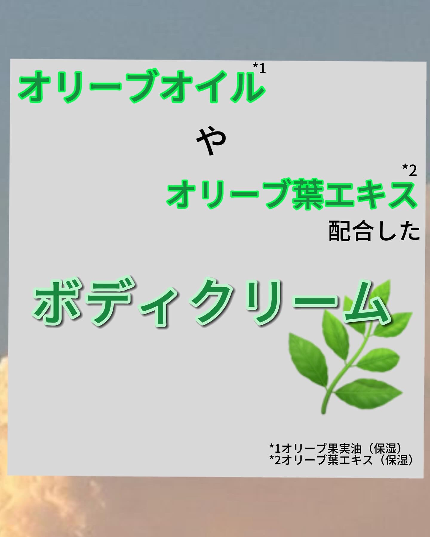 CICAクリーム オリーブ・ブリス/SABON/ボディクリームを使ったクチコミ（2枚目）