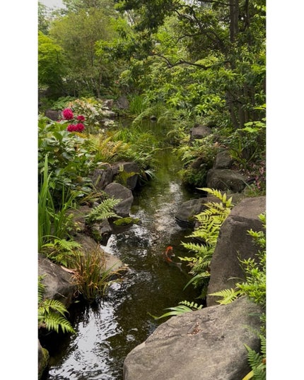 NORI on LIPS 「少し前に連れて行ってくれた@westinosaka💭🎀お庭や池..」(4枚目)