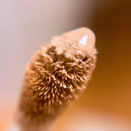 スタジオ ラディアンス 24 ルミナス コンシーラー NC10/M・A・C/リキッドコンシーラーの画像