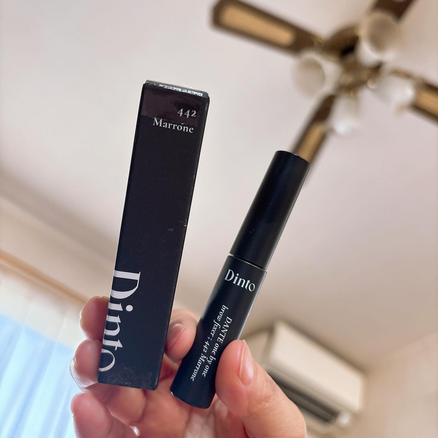 ダンテワンバイワン ラッシュディファイナー ブロウフィクサー/Dinto/眉マスカラを使ったクチコミ(1枚目)