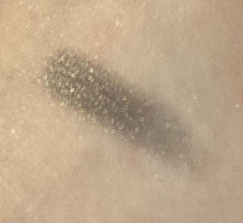 シャドーカスタマイズ/MAJOLICA MAJORCA/単色アイシャドウを使ったクチコミ（2枚目）