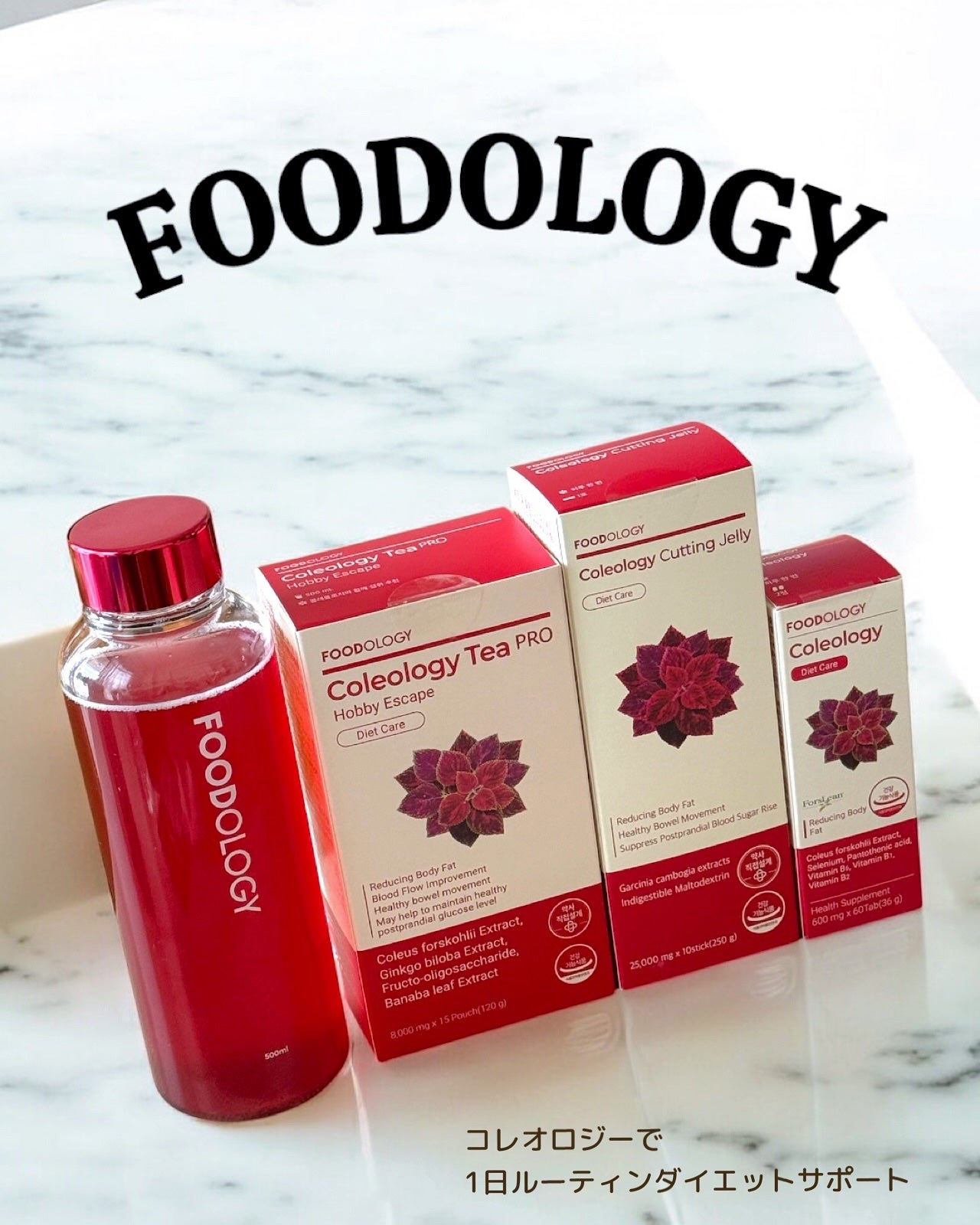 FOODOLOGY フードオロジー コレオロジー茶+ぜリー FOODOLOGYのサプリメント・フード コレオロジー茶&コレオロジー