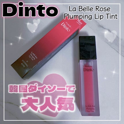 La Belle Rose Plumping Lip Tint/Dinto/口紅を使ったクチコミ(1枚目)