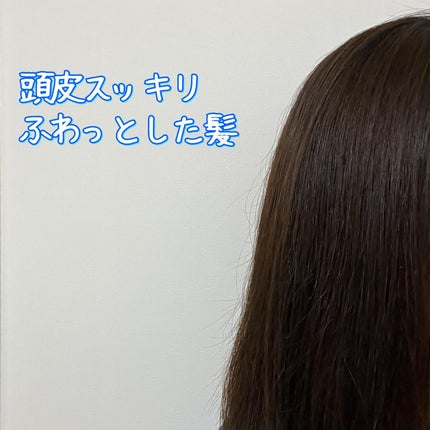 ラサーナ プレミオール シャンプー/トリートメント クールリフレッシュ/ラサーナ/市販シャンプーを使ったクチコミ(3枚目)