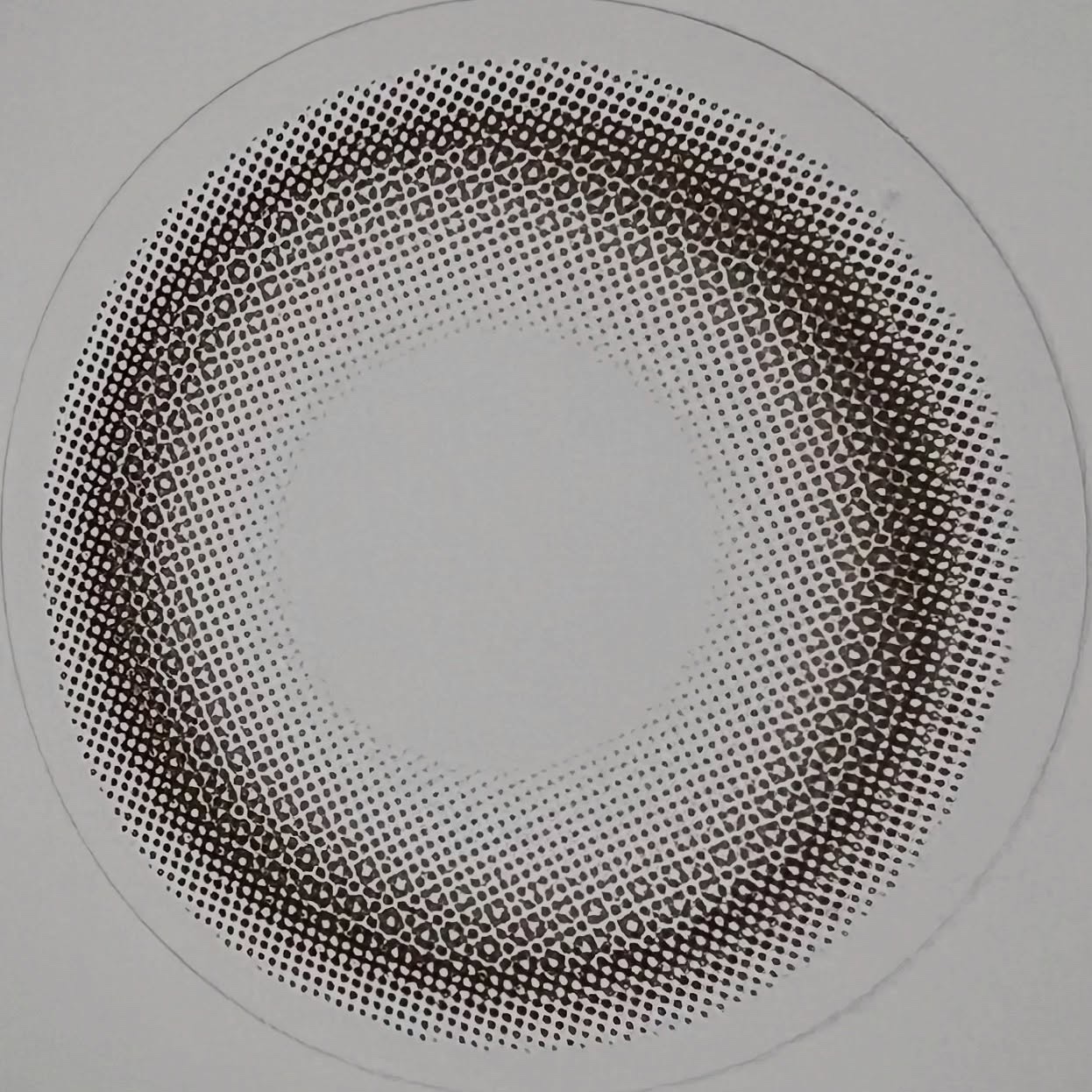 chiffon/meilly/ワンデー（１DAY）カラコンを使ったクチコミ（3枚目）