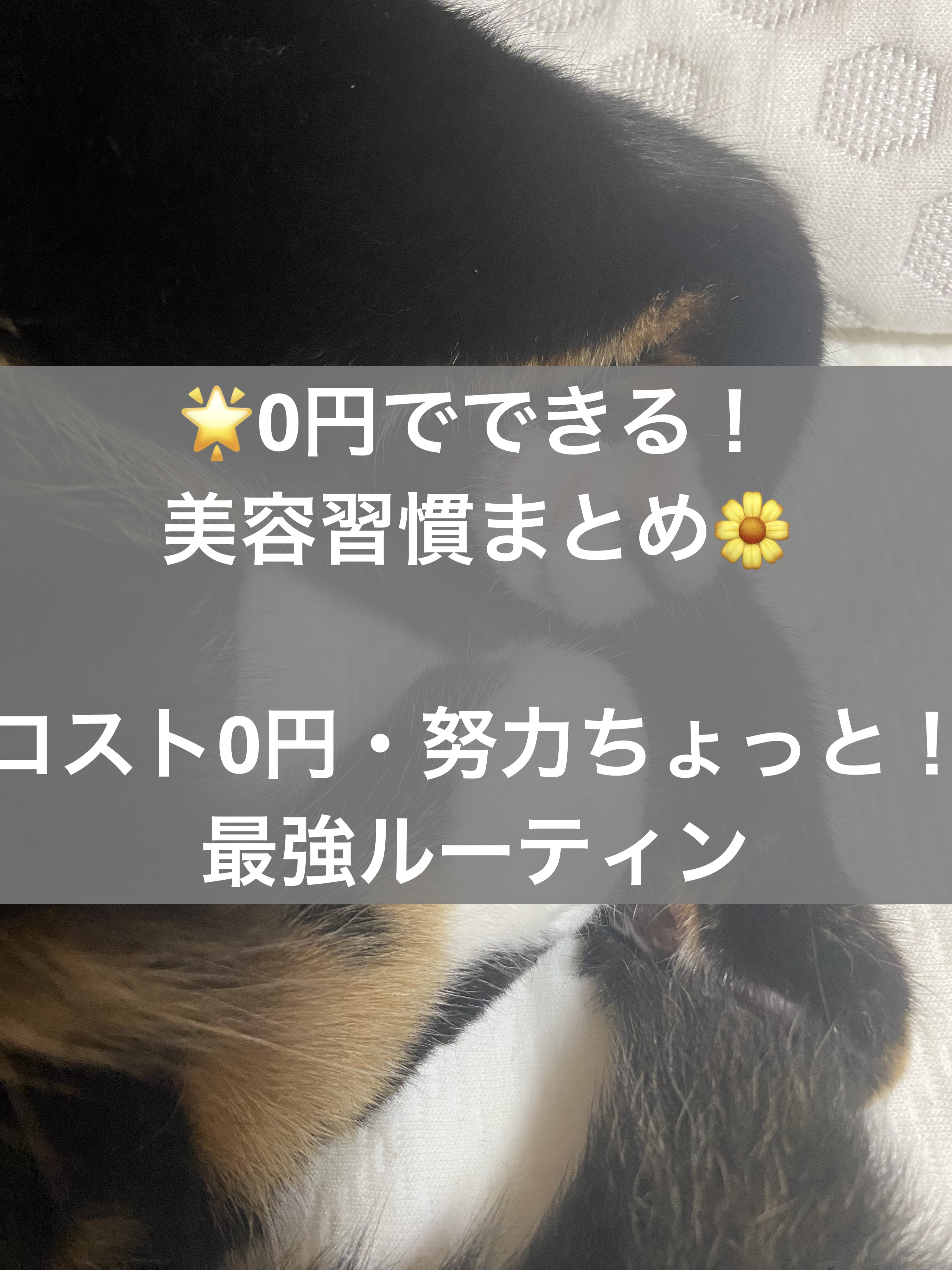 キャンドゥ購入品😄💞/キャンドゥ/その他を使ったクチコミ（1枚目）