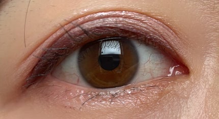 ソフトシアーマルチパレット/wakemake/アイシャドウパレットを使ったクチコミ(2枚目)