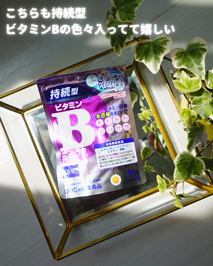 DHC 亜鉛/DHC/健康サプリメントを使ったクチコミ(5枚目)