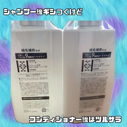 ストレートシャンプー/ストレートトリートメント/Straine/市販シャンプーを使ったクチコミ(3枚目)