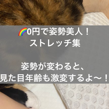 ストレッチチューブ/セリア/その他フィットネスを使ったクチコミ(1枚目)