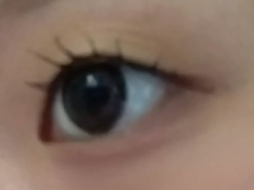 エバーカラーワンデー ナチュラル/エバーカラー/ワンデー（１DAY）カラコンを使ったクチコミ（1枚目）