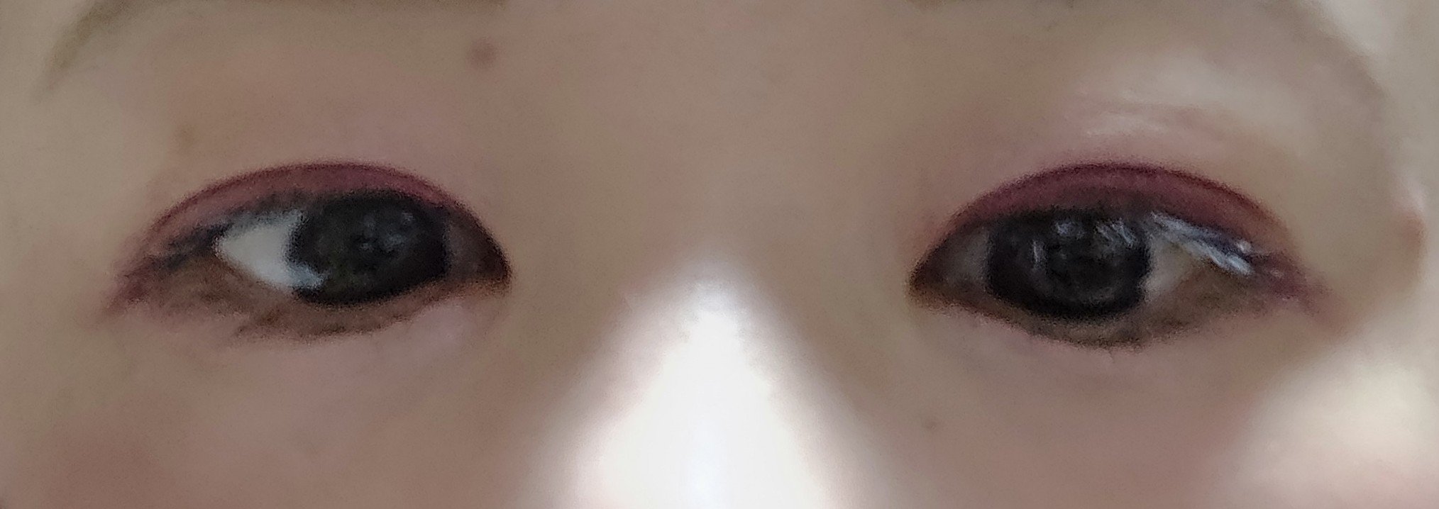 【旧】ディオールショウ サンク クルール（プラン ドゥ パリ コレクション限定品）/Dior/アイシャドウを使ったクチコミ（3枚目）