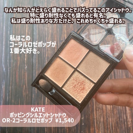 ケイト ポッピングシルエットシャドウ/KATE/アイシャドウパレットを使ったクチコミ(2枚目)