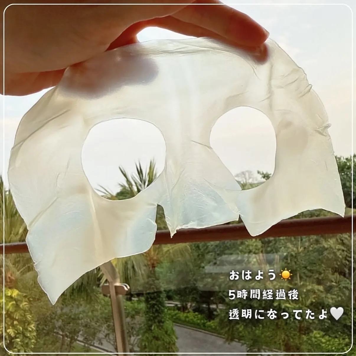 BIODANCE バイオダンス フェイスマスク 2種 20枚 Biodance(バイオダンス)の「バイオコラーゲン リアル ディープ