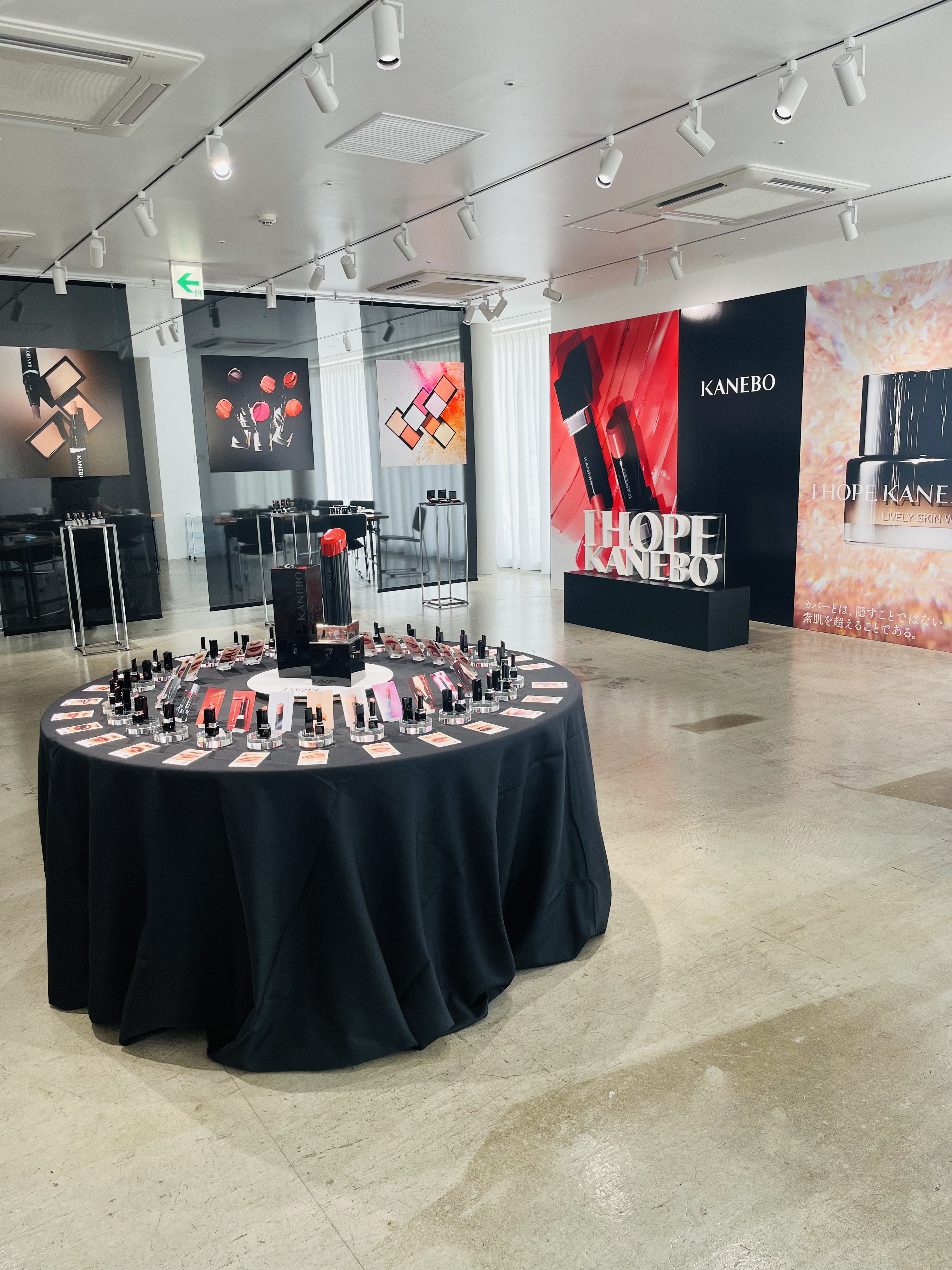 ルージュスターヴァイブラント/KANEBO/口紅を使ったクチコミ（1枚目）