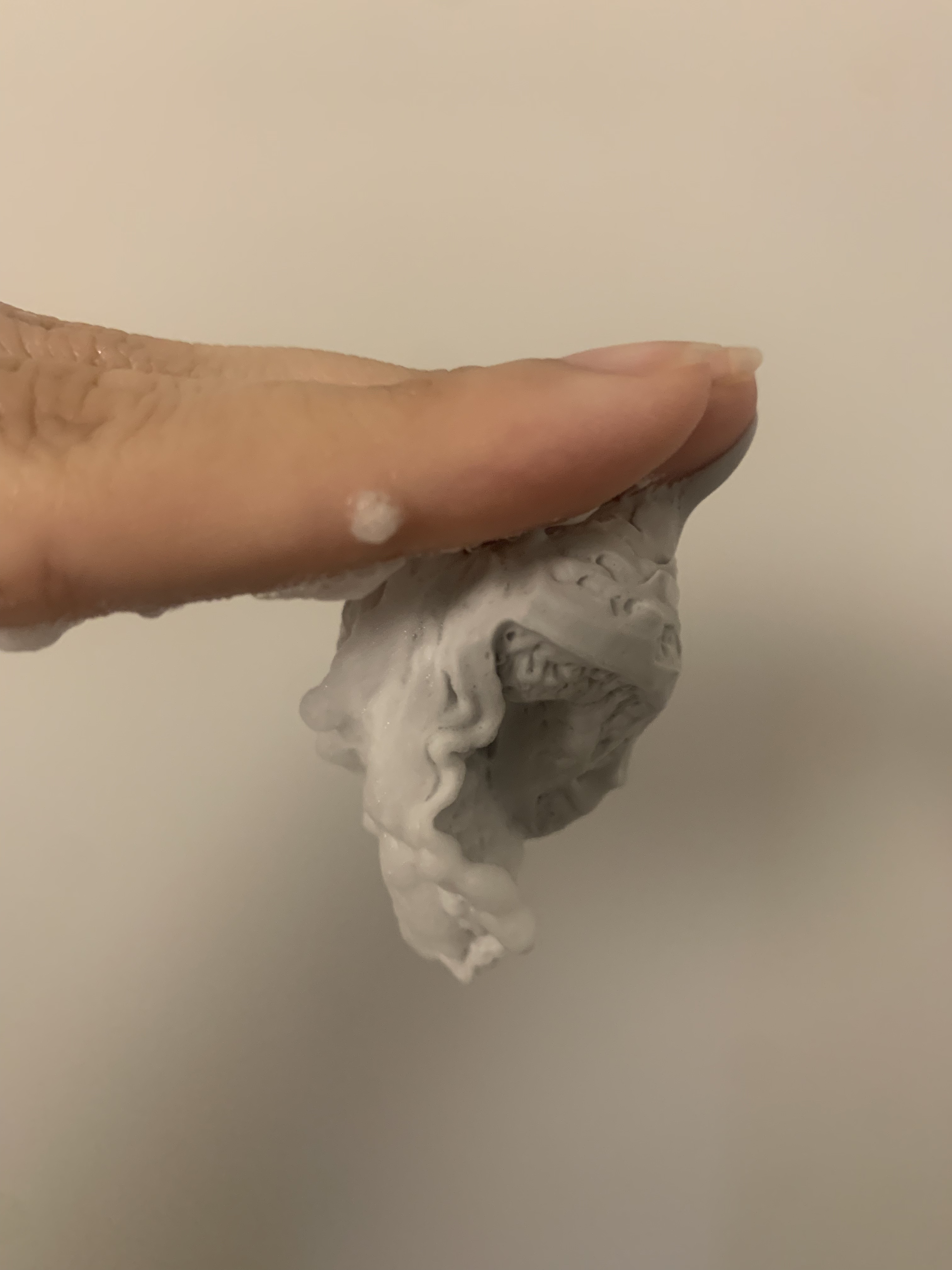 ディズム クリーミーフォームウォッシュ ブラック/DISM/泡洗顔を使ったクチコミ（2枚目）