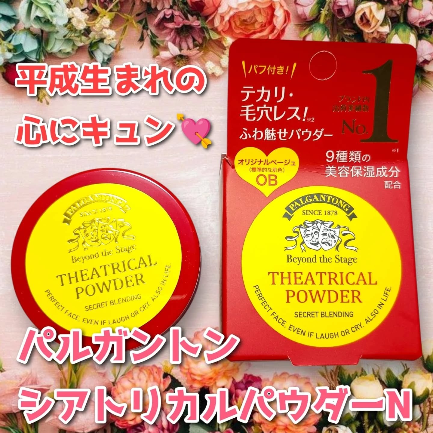 シアトリカルパウダーN/パルガントン/ルースパウダーを使ったクチコミ（1枚目）