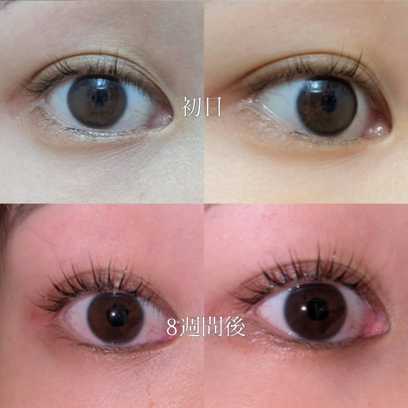 アイラッシュセラム100EX/COSNORI/まつげ美容液を使ったクチコミ(3枚目)