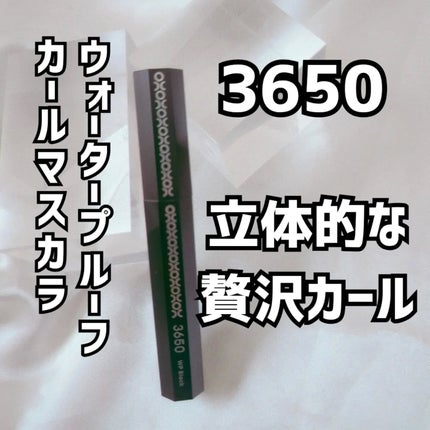 マスカラ WP/3650/マスカラを使ったクチコミ(4枚目)