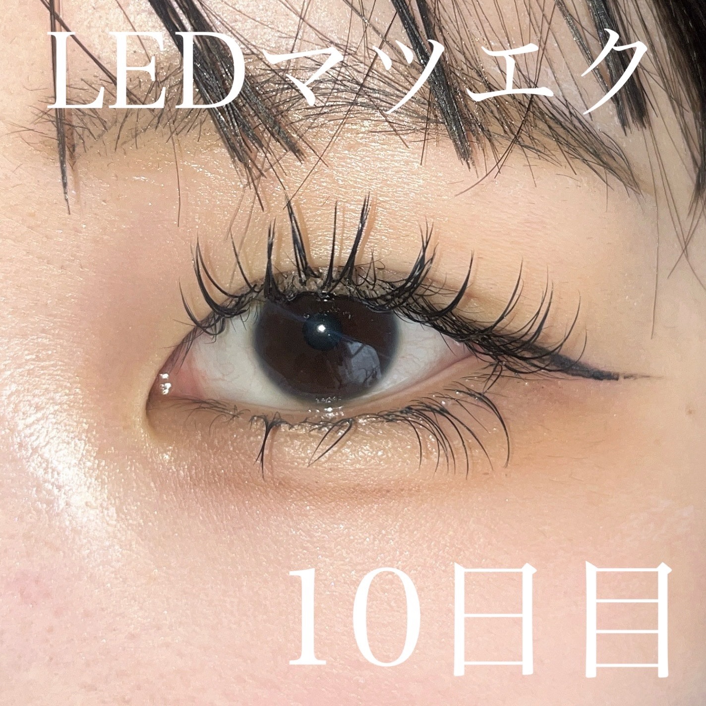 アイラッシュセラムEX/ヒロインメイク/まつげ美容液を使ったクチコミ（1枚目）