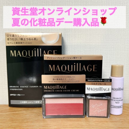 インテグレート ぴたジェルアイブロウ/インテグレート/アイブロウペンシルを使ったクチコミ(1枚目)