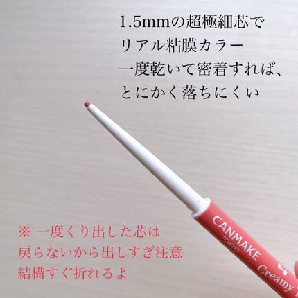 クリーミータッチライナー シアー/キャンメイク/ジェルアイライナーを使ったクチコミ(4枚目)