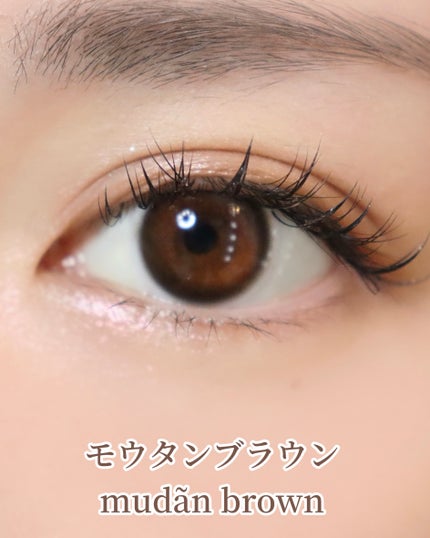 COLOさん˚✧₊⁎❝᷀ົཽ≀ˍ̮ ❝᷀ົཽ⁎⁺˳✧༚ on LIPS 「本日紹介するのはカラコンの新シリーズ「ヴィレジェ」を紹介します..」(8枚目)