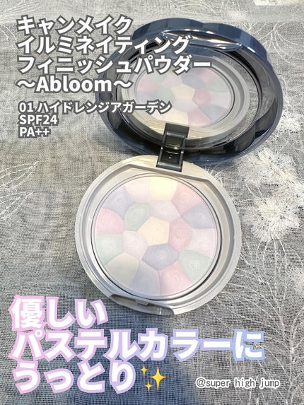 イルミネイティングフィニッシュパウダー ~Abloom~/キャンメイク/プレストパウダーを使ったクチコミ(1枚目)