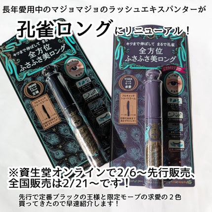 ラッシュエキスパンダー ロングロングロング EX/MAJOLICA MAJORCA/マスカラを使ったクチコミ(2枚目)