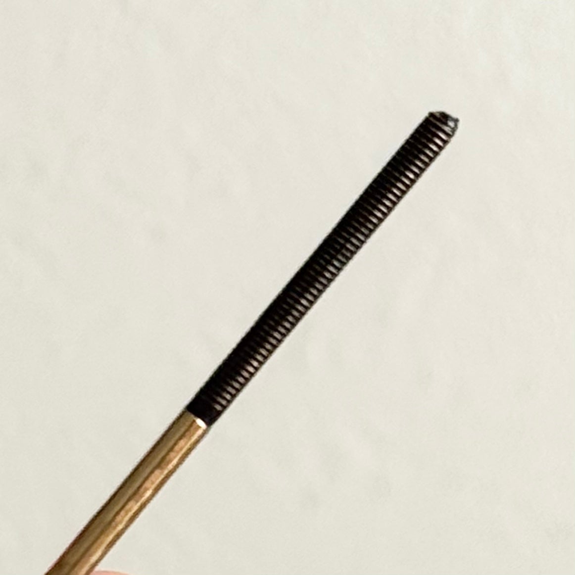 エクストラ スリム メタル マキシカラ/NEOGEN/マスカラを使ったクチコミ(2枚目)