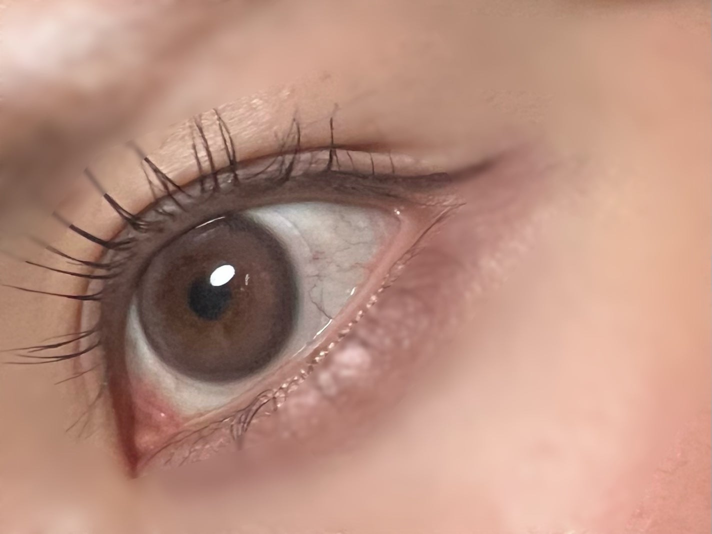 Tweed Kristin 1day/Hapa kristin/ワンデー(1DAY)カラコンを使ったクチコミ(1枚目)