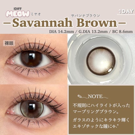 IDIFF MEOW 1DAY/OLOLA/ワンデー(1DAY)カラコンを使ったクチコミ(6枚目)