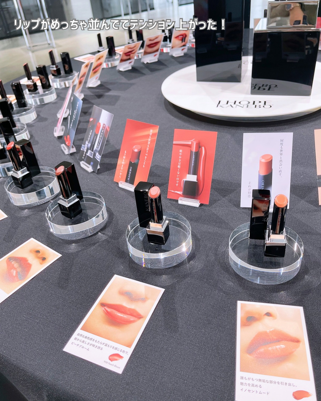 ルージュスターヴァイブラント/KANEBO/口紅を使ったクチコミ（3枚目）