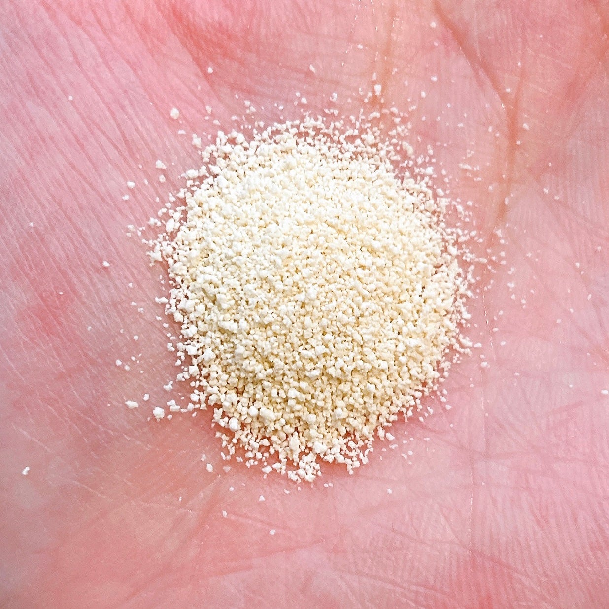 スイサイ ビューティクリア ゴールド パウダーウォッシュ/スイサイ ビューティクリア/洗顔パウダーを使ったクチコミ(3枚目)