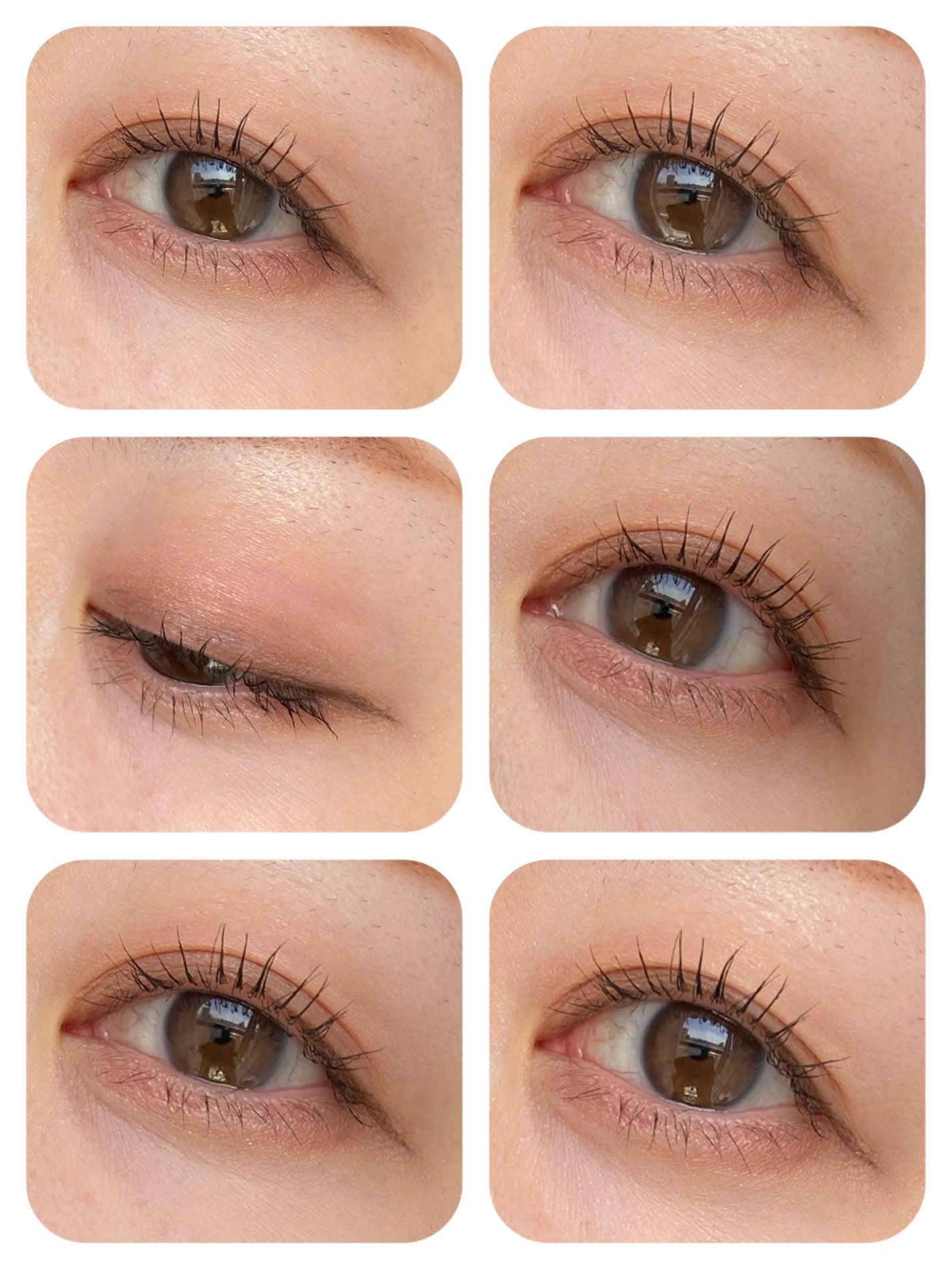 グロッシーリッチ アイズ N/Visée/アイシャドウパレットを使ったクチコミ(4枚目)