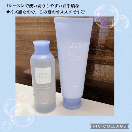 スカルプD ボーテ スカルプシャンプー/トリートメントパック ボリューム クール/アンファー(スカルプD)/市販シャンプーを使ったクチコミ(6枚目)