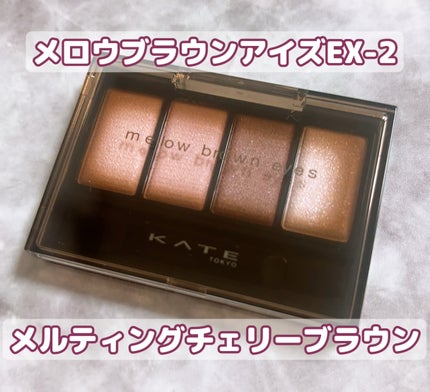 ケイト メロウブラウンアイズ/KATE/アイシャドウパレットを使ったクチコミ(1枚目)