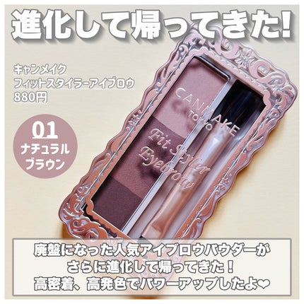 フィットスタイラーアイブロウ/キャンメイク/パウダーアイブロウを使ったクチコミ(2枚目)