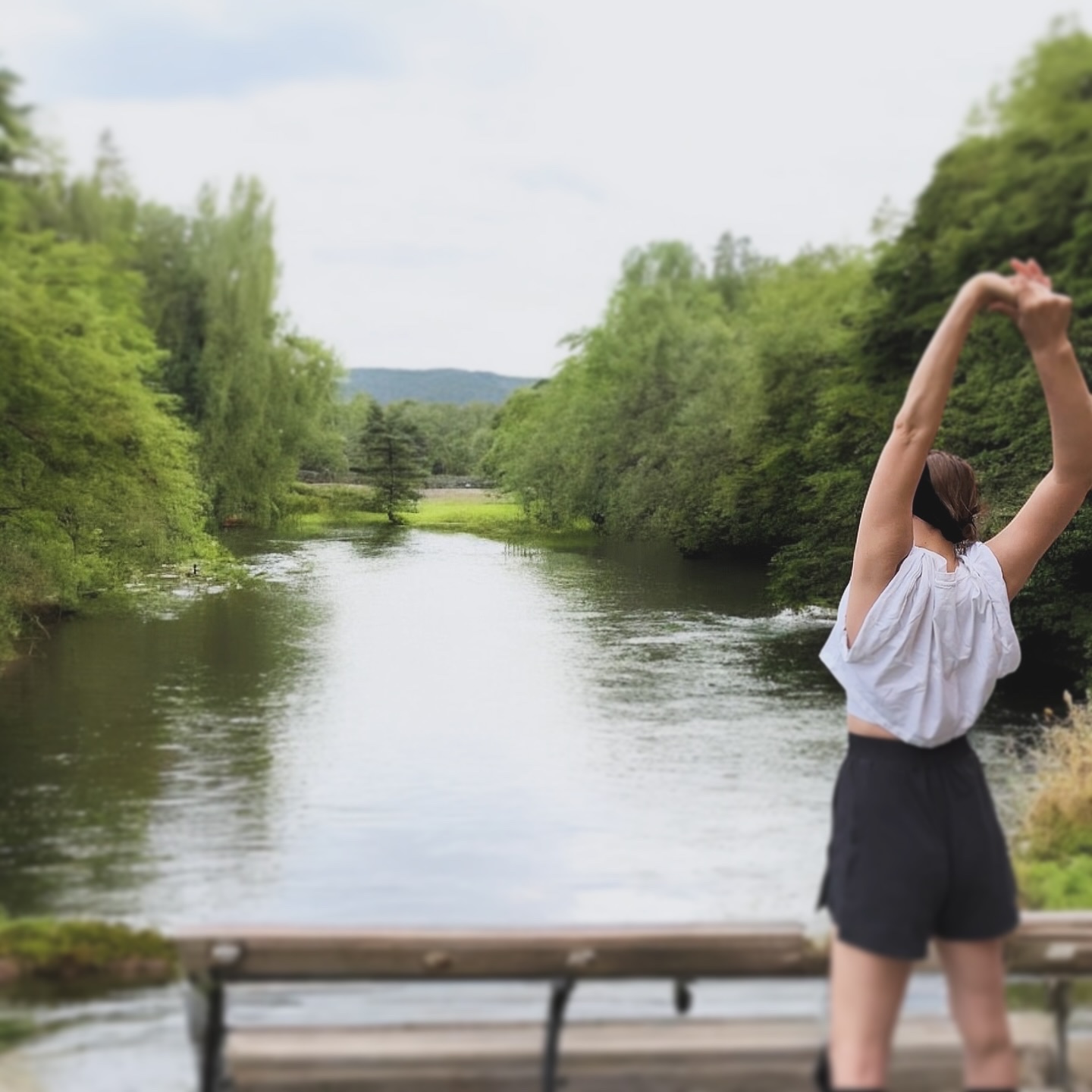 ライスピラー保湿クリーム/HAYEJIN/フェイスクリームを使ったクチコミ（1枚目）