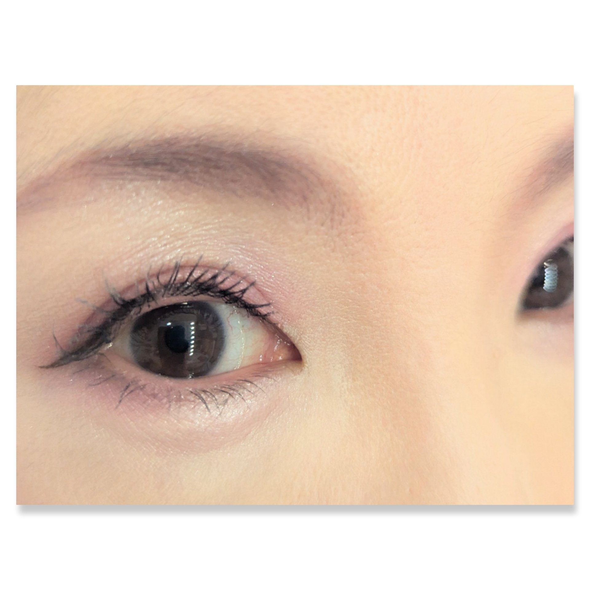 ワンダー エバー アイシャドウ/リンメル ロンドン/アイシャドウパレットを使ったクチコミ（2枚目）