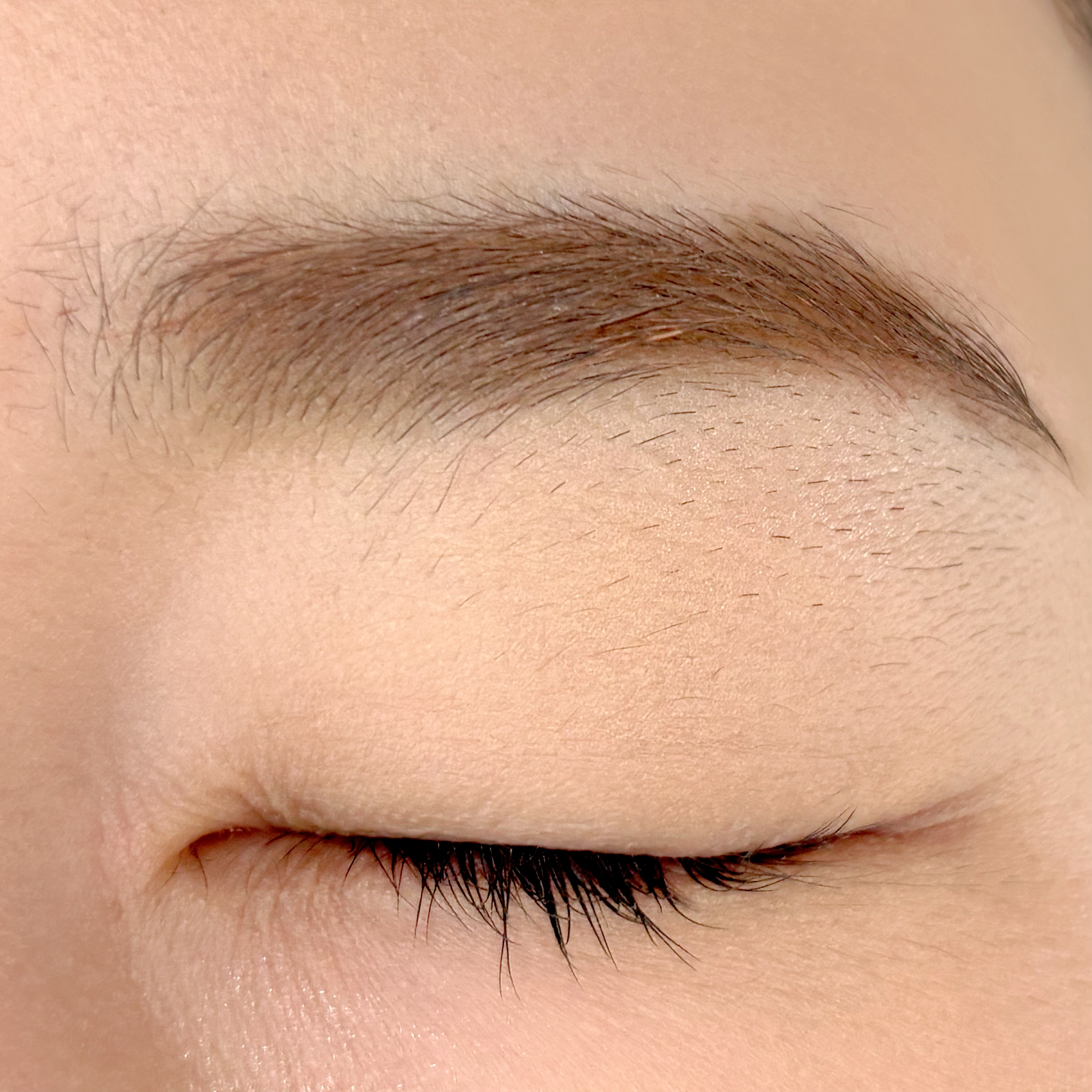 ケイト 3DアイブロウカラーZ/KATE/眉マスカラを使ったクチコミ（2枚目）