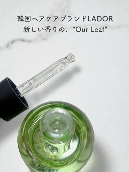 パフュームヘアオイル アワーリーフ/La'dor/ヘアオイルを使ったクチコミ(2枚目)