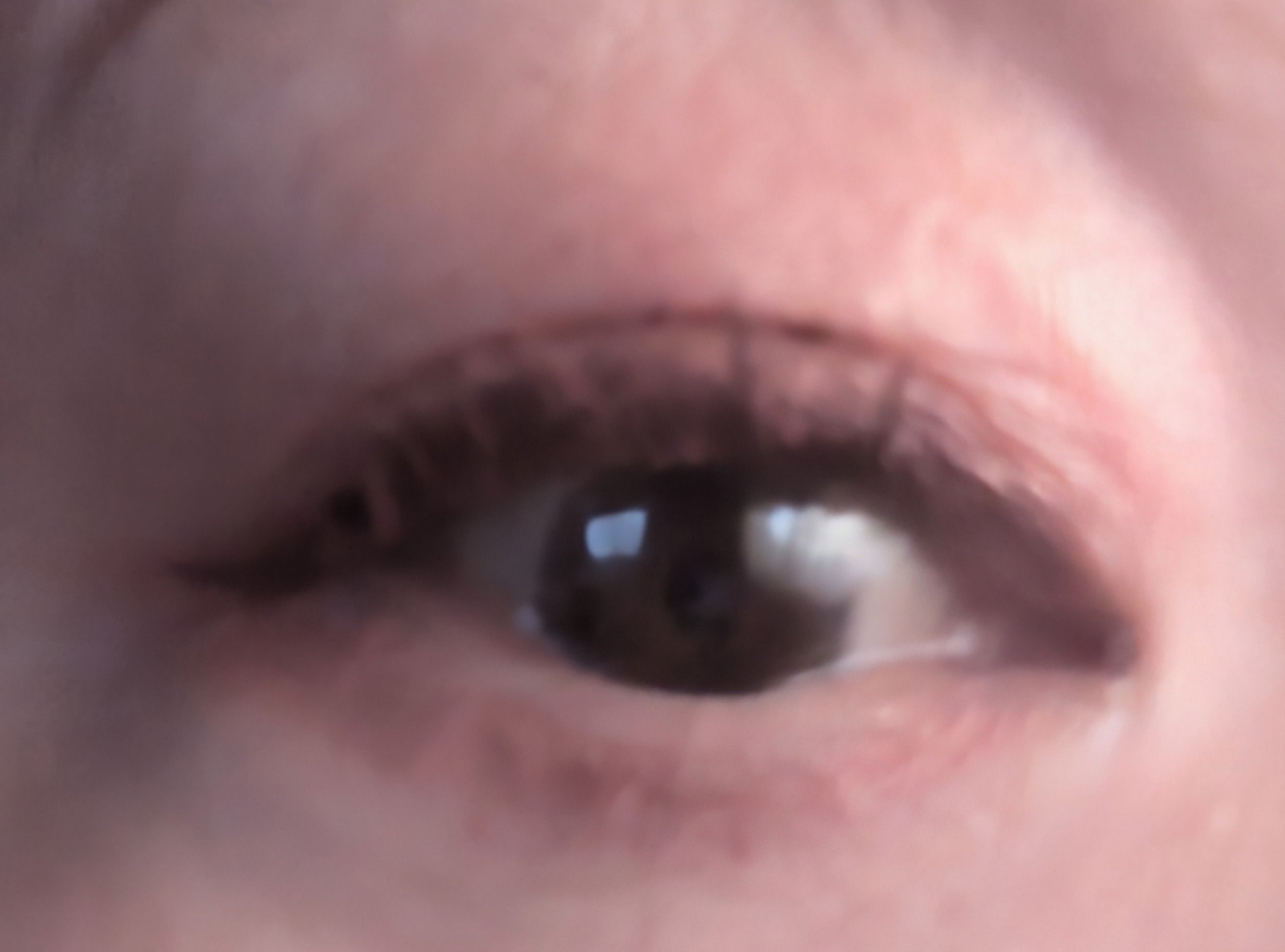 イロミッケ 4色アイシャドウパレット/iromikke/アイシャドウパレットを使ったクチコミ（2枚目）